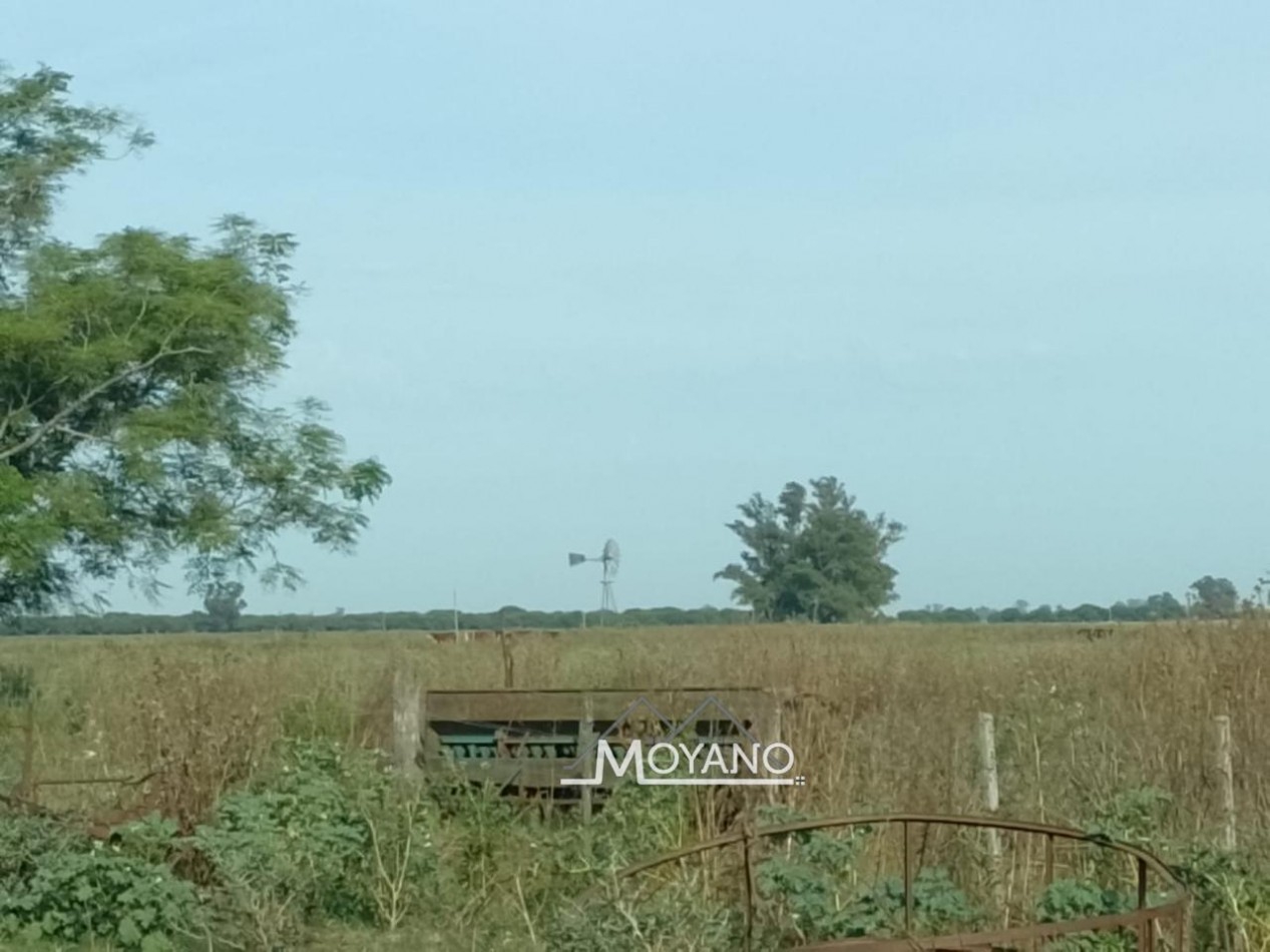 Campo mixto 66 has  en venta - Sa Pereira