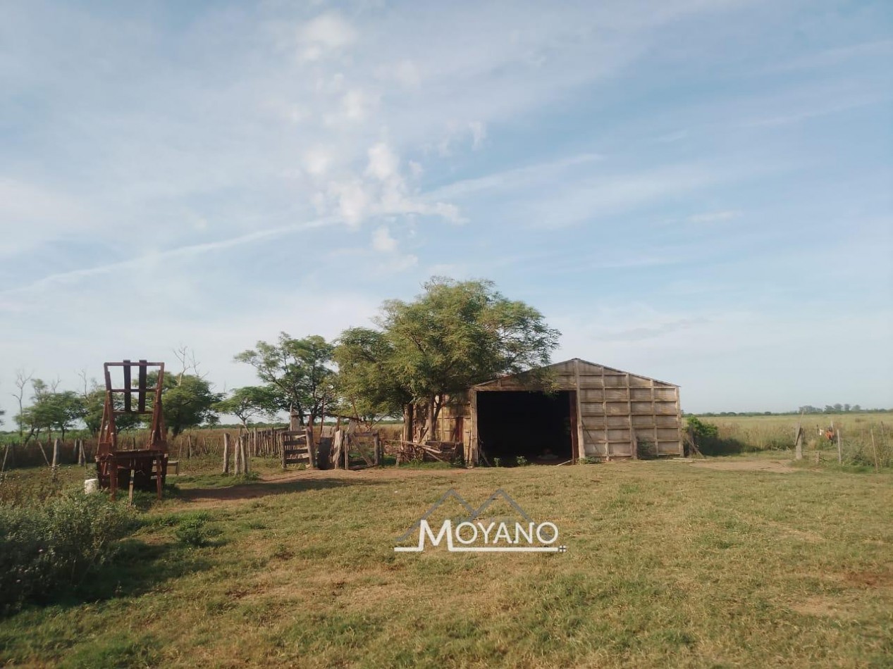 Campo mixto 66 has  en venta - Sa Pereira