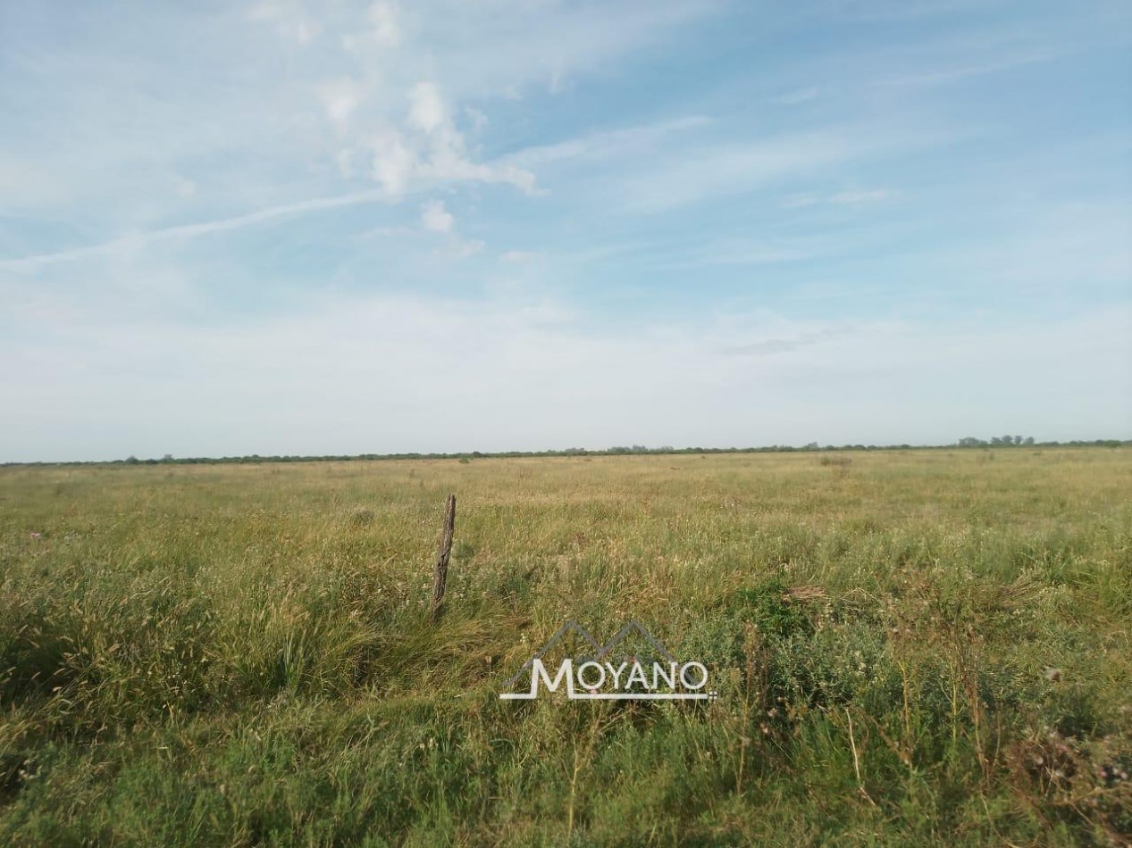 Campo mixto 66 has  en venta - Sa Pereira