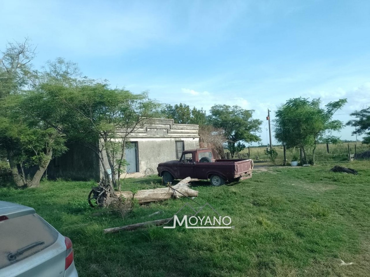 Campo mixto 66 has  en venta - Sa Pereira