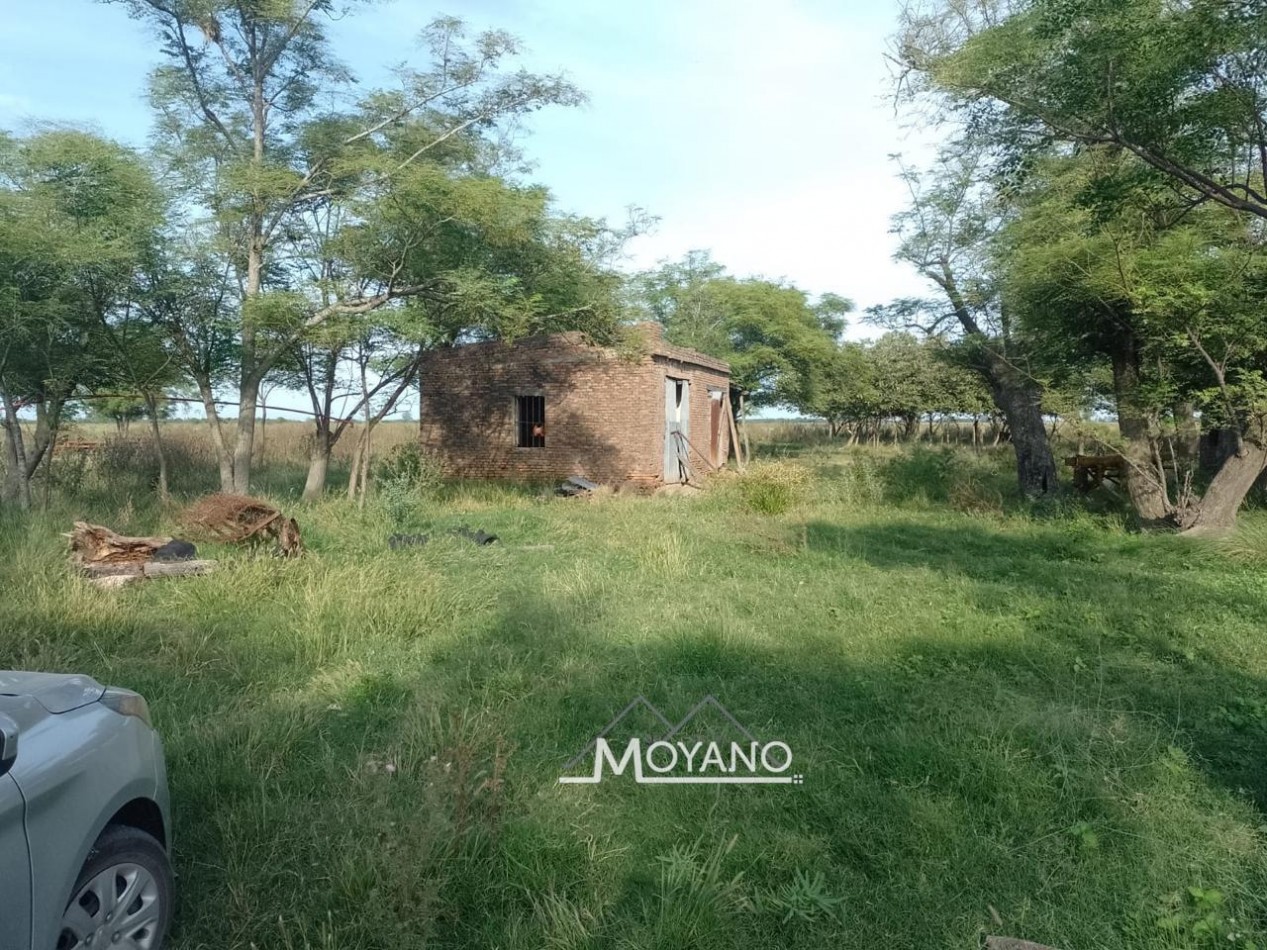 Campo mixto 66 has  en venta - Sa Pereira