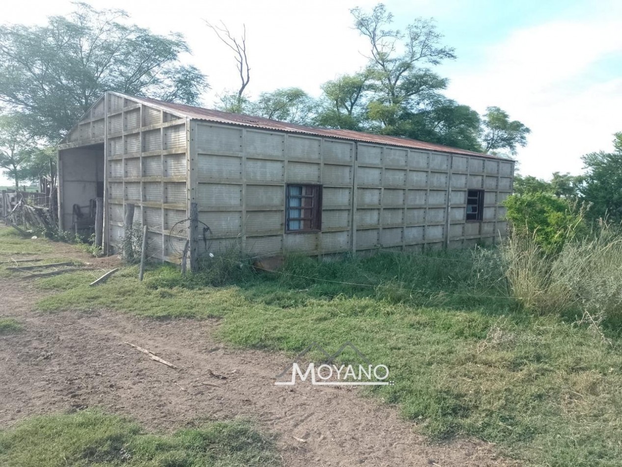 Campo mixto 66 has  en venta - Sa Pereira
