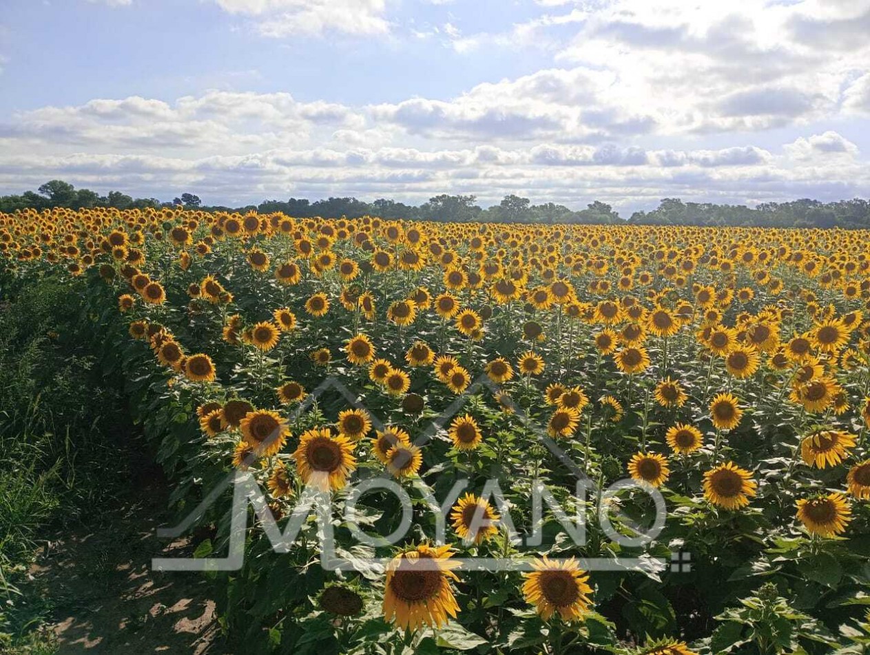 Campo Agroganadero 107.8 has en Venta - Villa Angela, Chaco