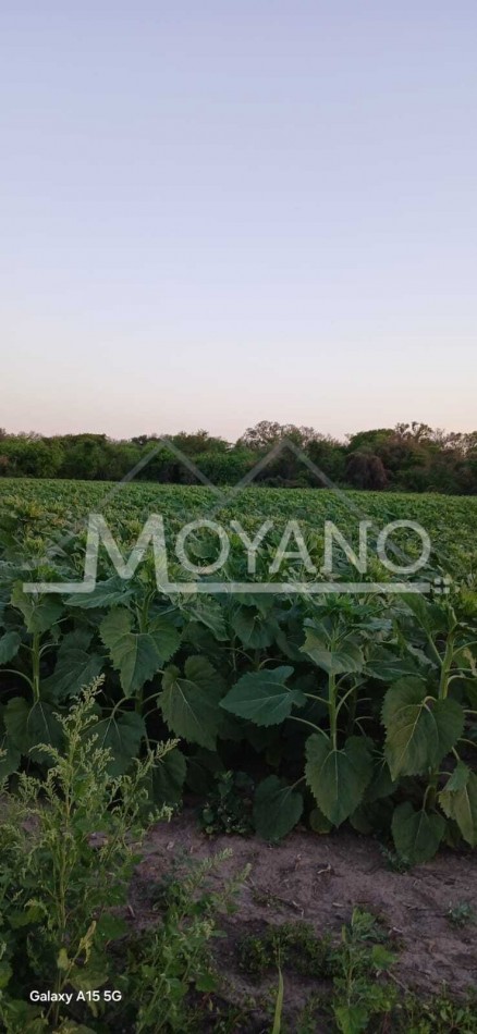 Campo Agroganadero 107.8 has en Venta - Villa Angela, Chaco