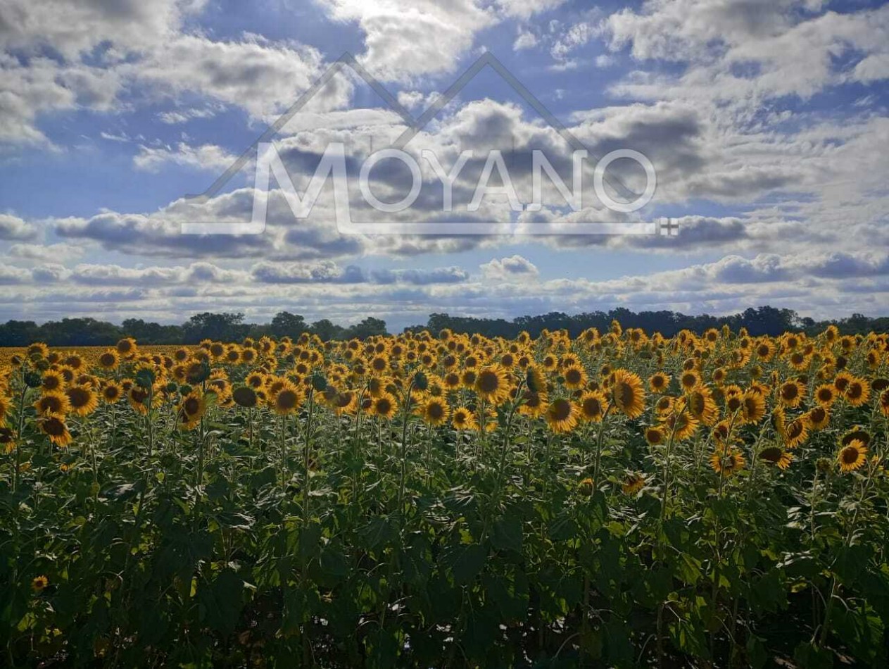 Campo Agroganadero 107.8 has en Venta - Villa Angela, Chaco