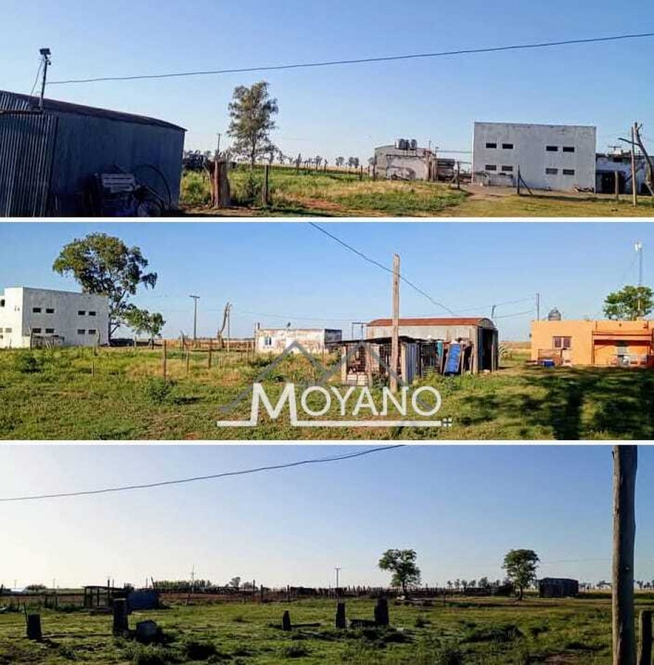 Campo Productivo de 4,5 Hectareas con Planta Lactea - Los Tercenaros (entre Las Varas y Alicia, Cordoba)