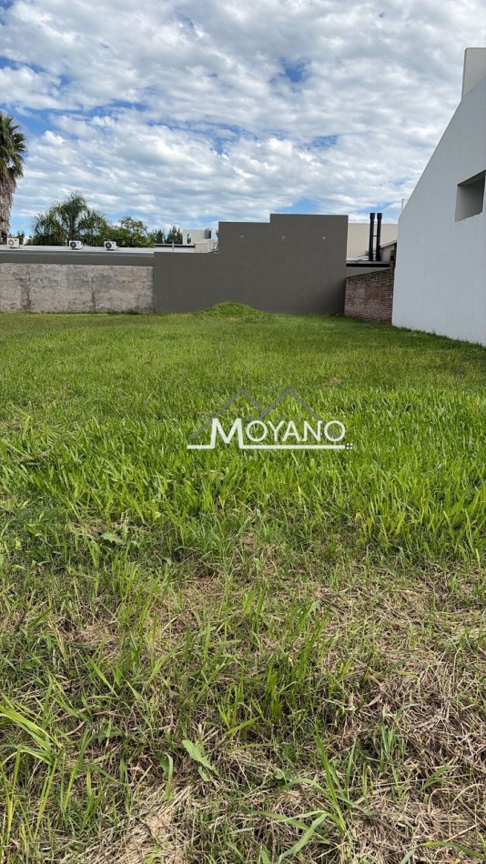 Terreno 320m2 en Venta - Frank