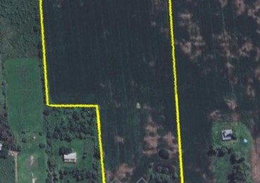 Campo 8 has en venta - Monte Vera