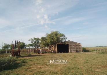 Campo mixto 66 has  en venta - Sa Pereira