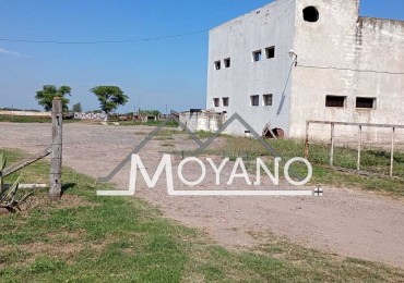 Campo Productivo de 4,5 Hectareas con Planta Lactea - Los Tercenaros (entre Las Varas y Alicia, Cordoba)