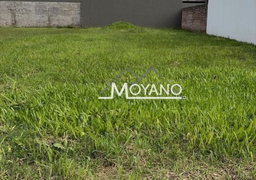 Terreno 320m2 en Venta - Frank